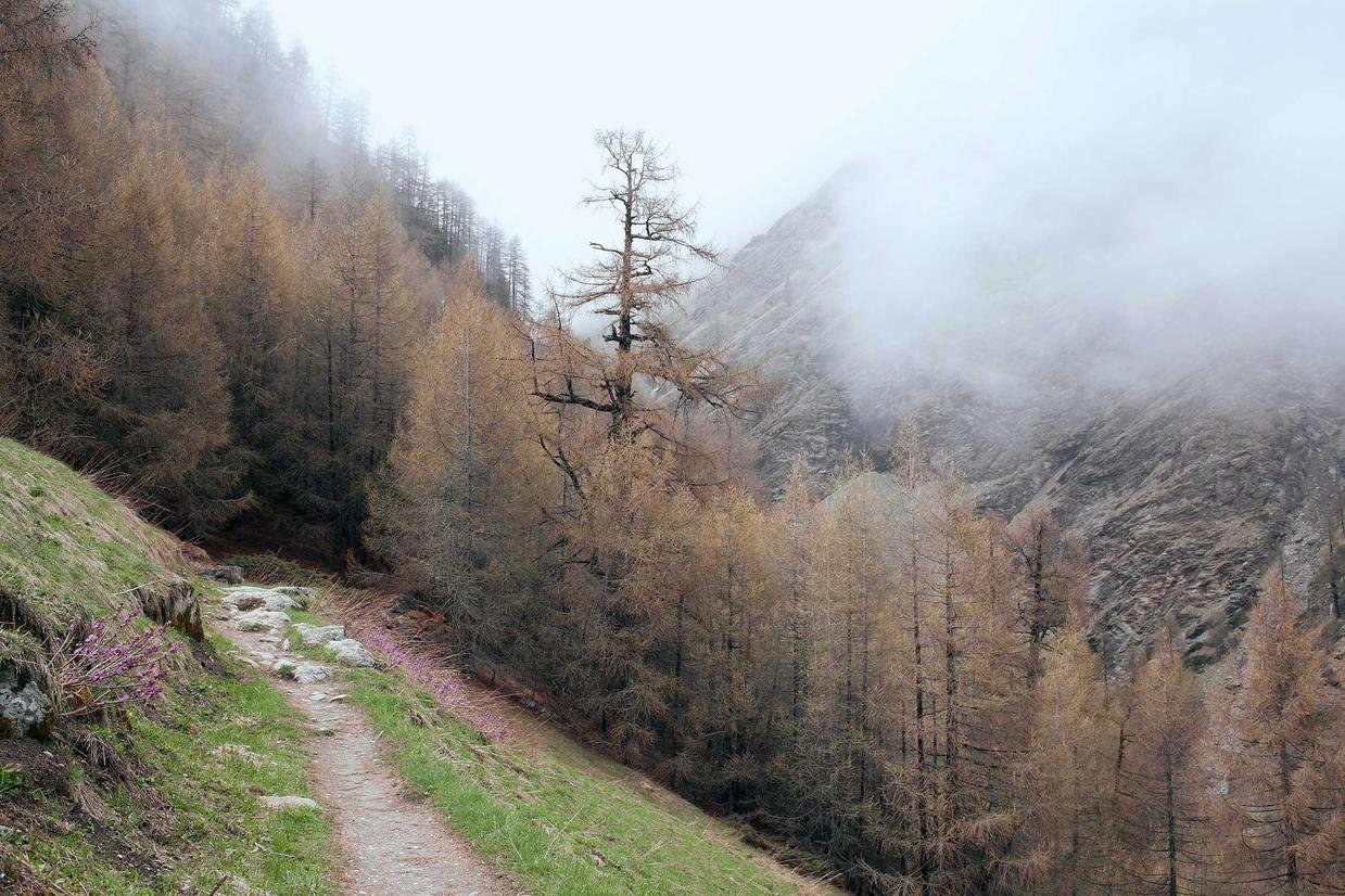 Aspernatur quidem explicabo sed voluptate atque